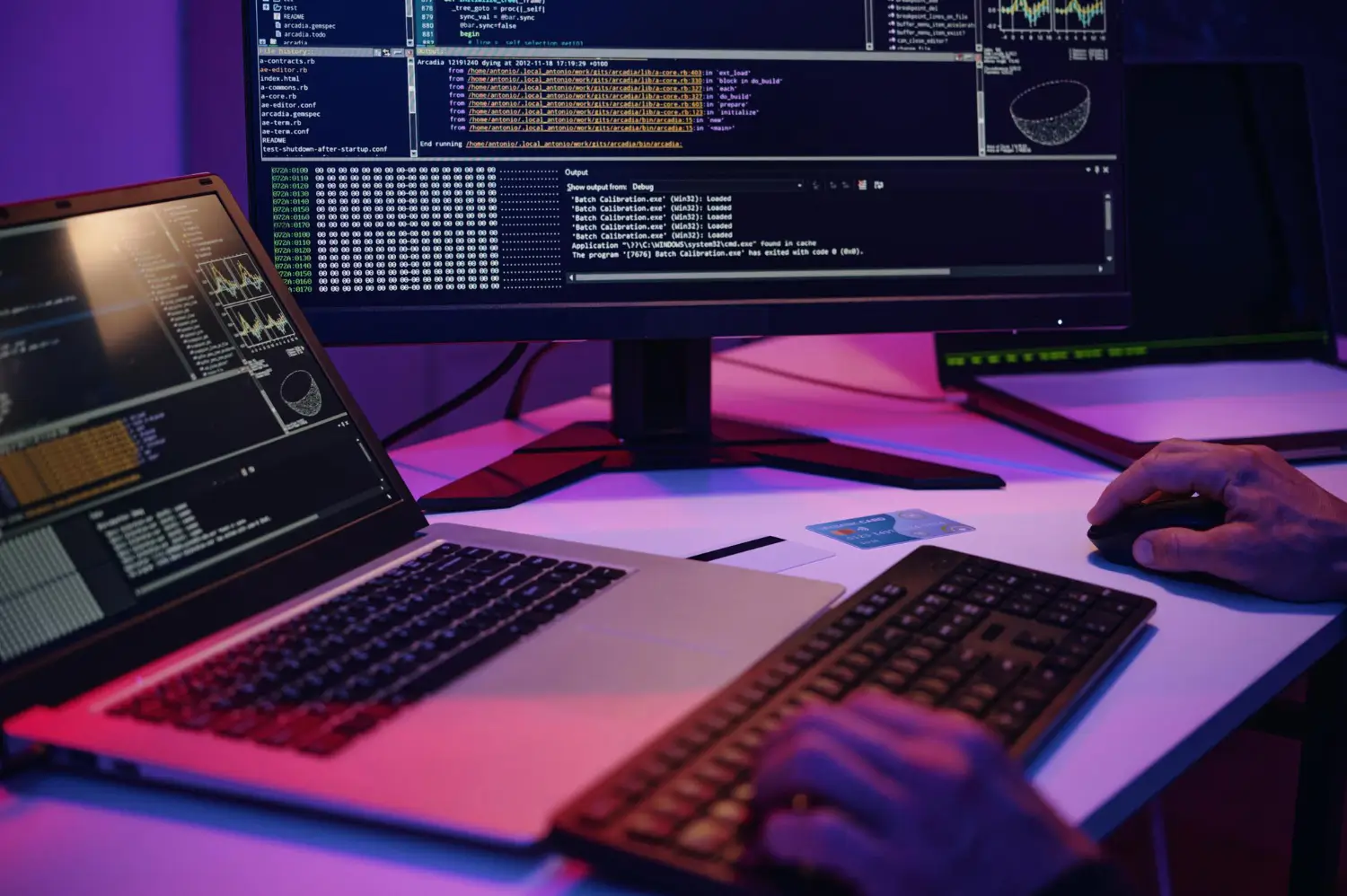 Software development
